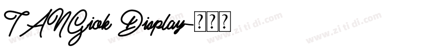 TANGiok Display字体转换